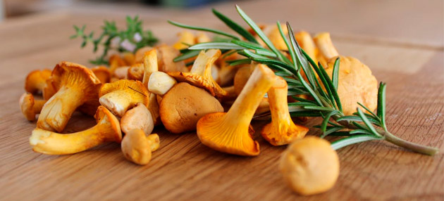 Золотой улов: три осенних блюда с лисичками