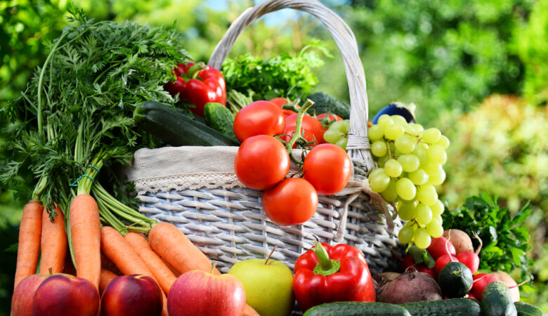 Сколько платят за картошку и лисички? В Белкоопсоюзе озвучили расценки на сезонный урожай