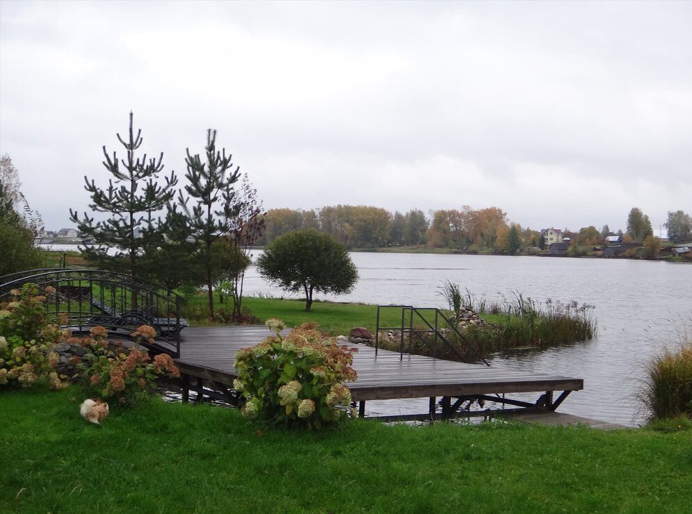 Нашли участки на берегу Вилейского водохранилища до 2 тысяч долларов