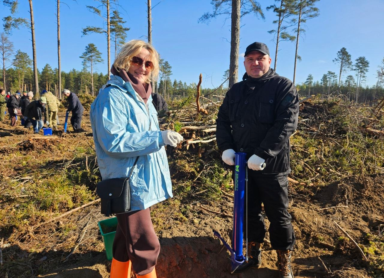 6 тысяч саженцев и сеянцев сосны и берёзы высадили сотрудники министерства архитектуры и строительства в Молодечненском районе