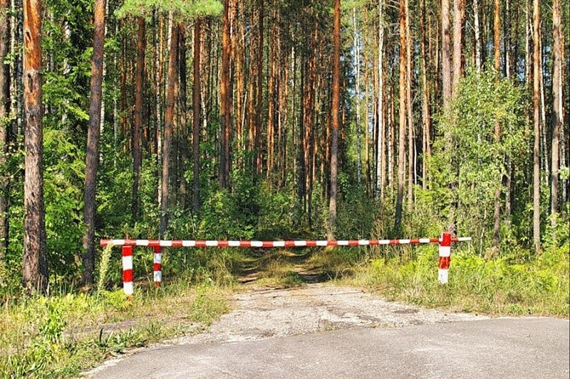 Жительницу Ратомки искали в лесу больше 50 человек