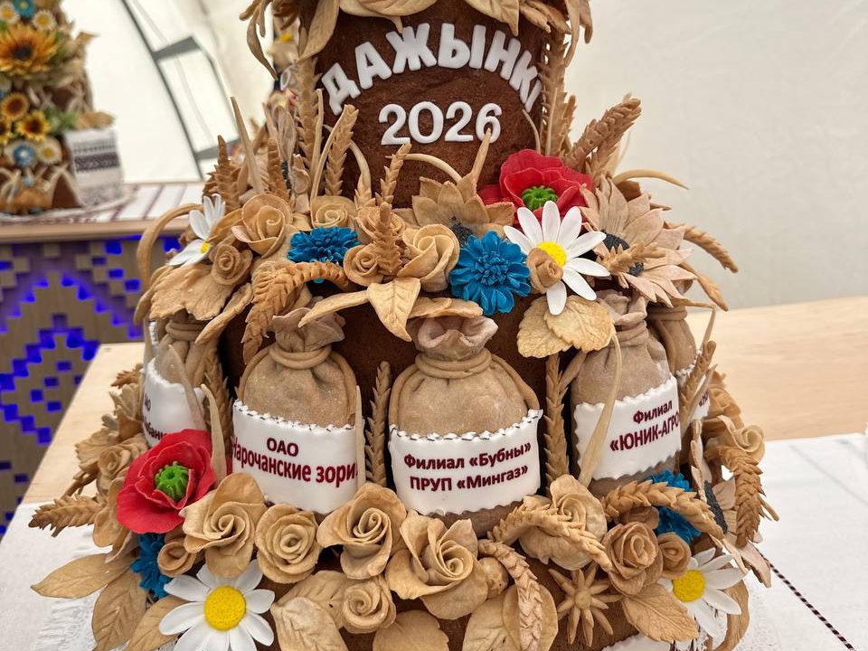 Программа «Дожинок-2026» в Вилейском районе