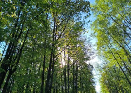 Когда потеплеет? Прогноз погоды на неделю