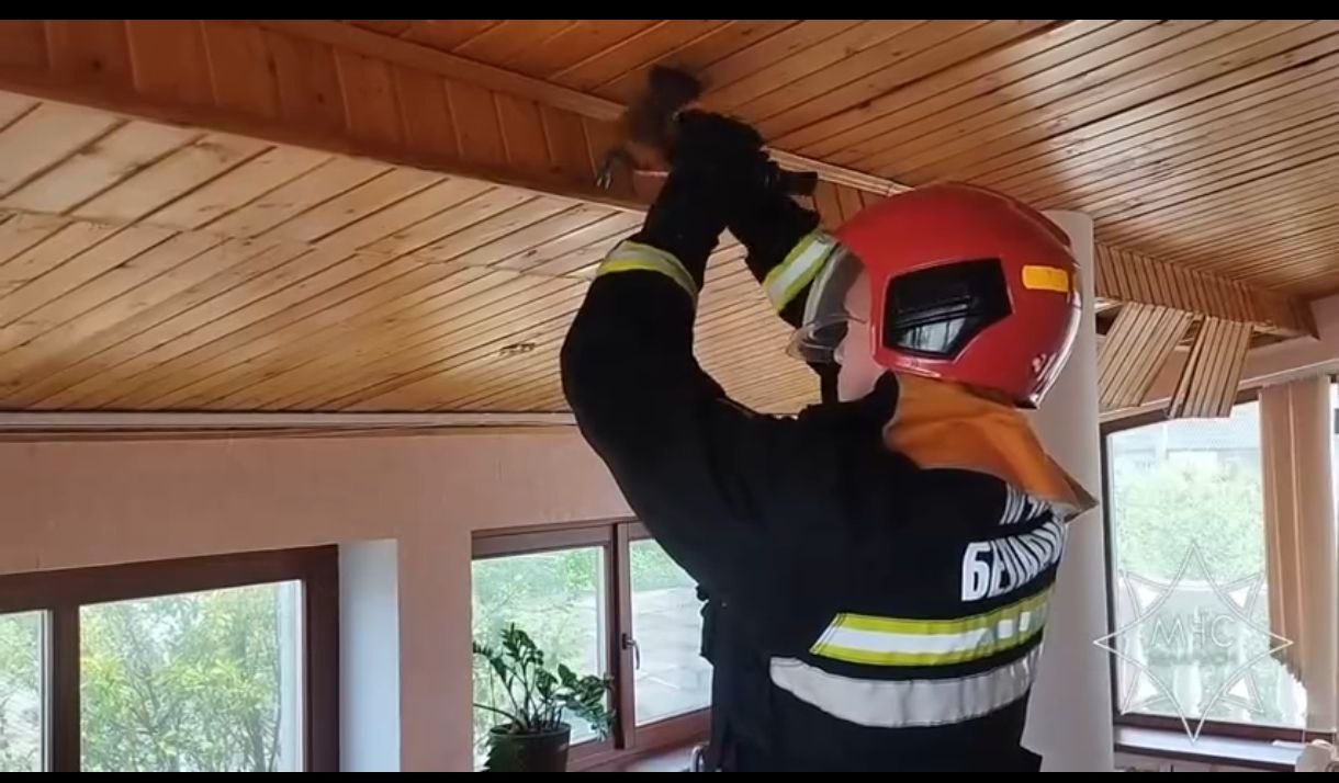 В Мяделе летучие мыши побеспокоили жильцов частного дома