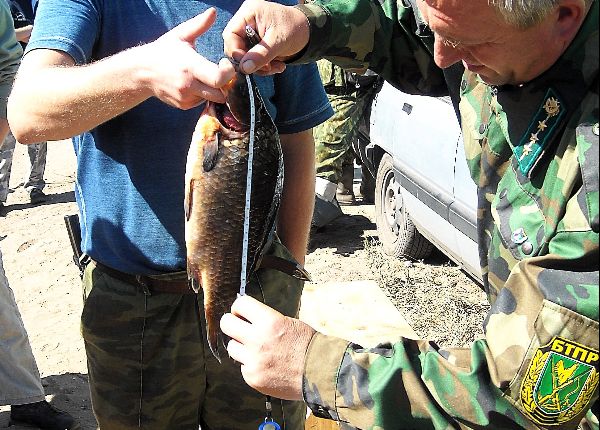 «На Вилейском водохранилище в прошлом году не очень понравилось». Турнир по рыбной ловле перенесли в Молодечненский район