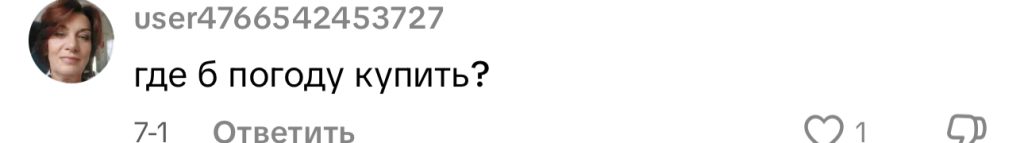 комментарий