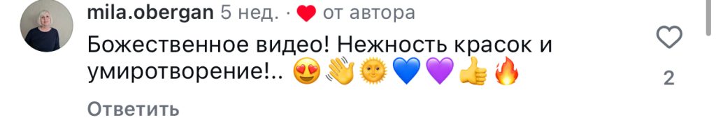 комментарий