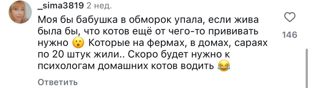 комментарий