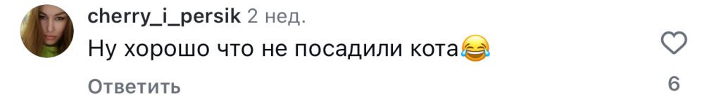 комментарий