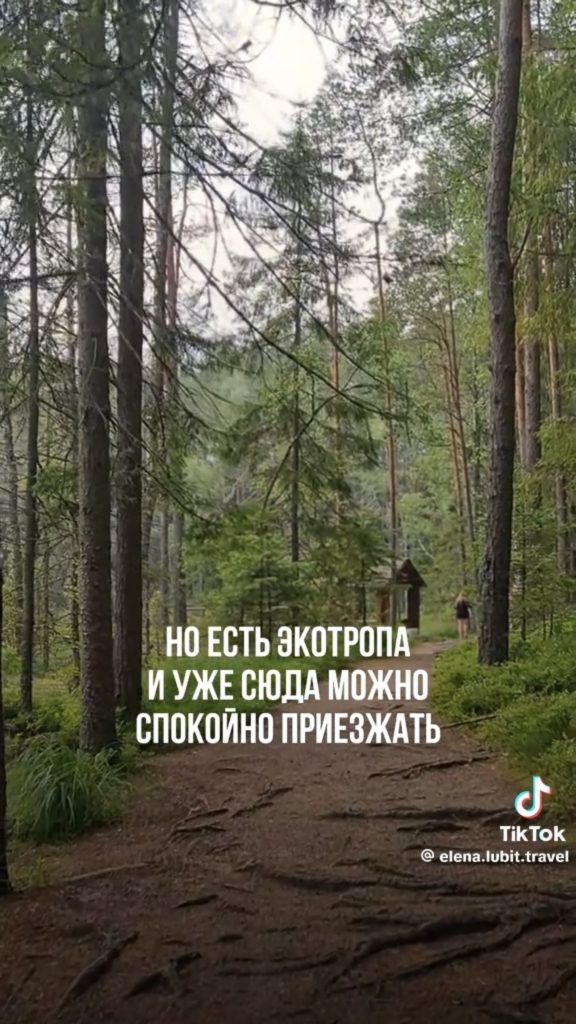 лес