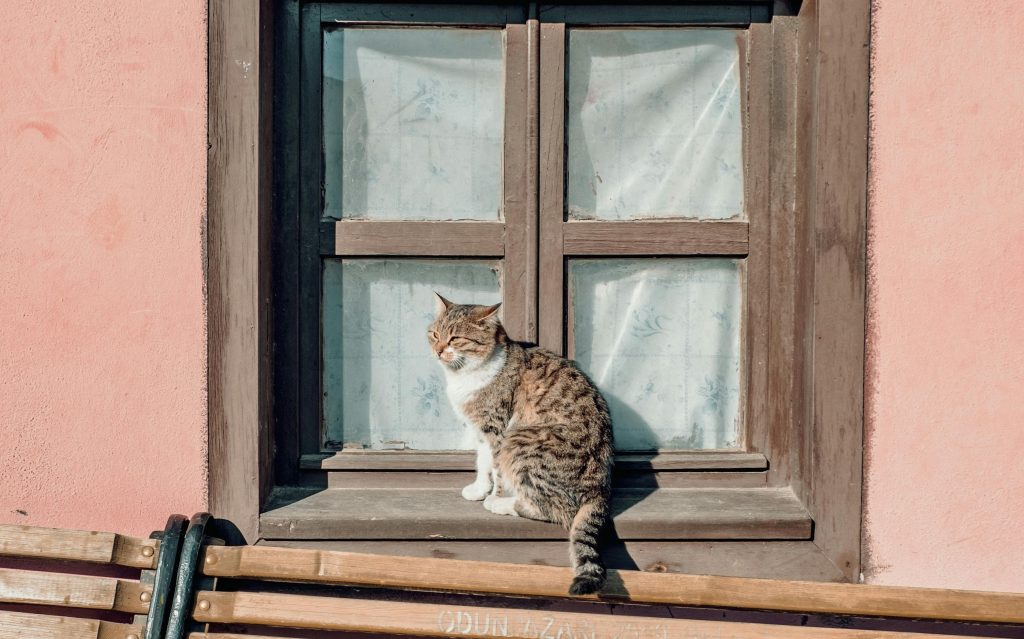 окно