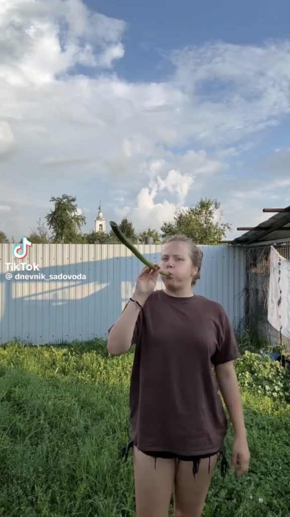 дудка