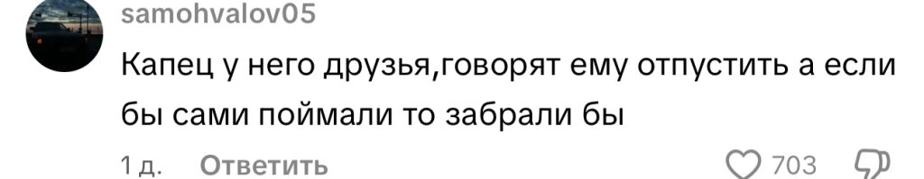 комментарий