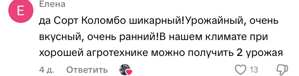 комментарий