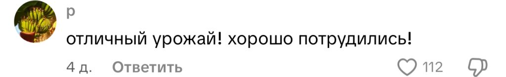 комментарий