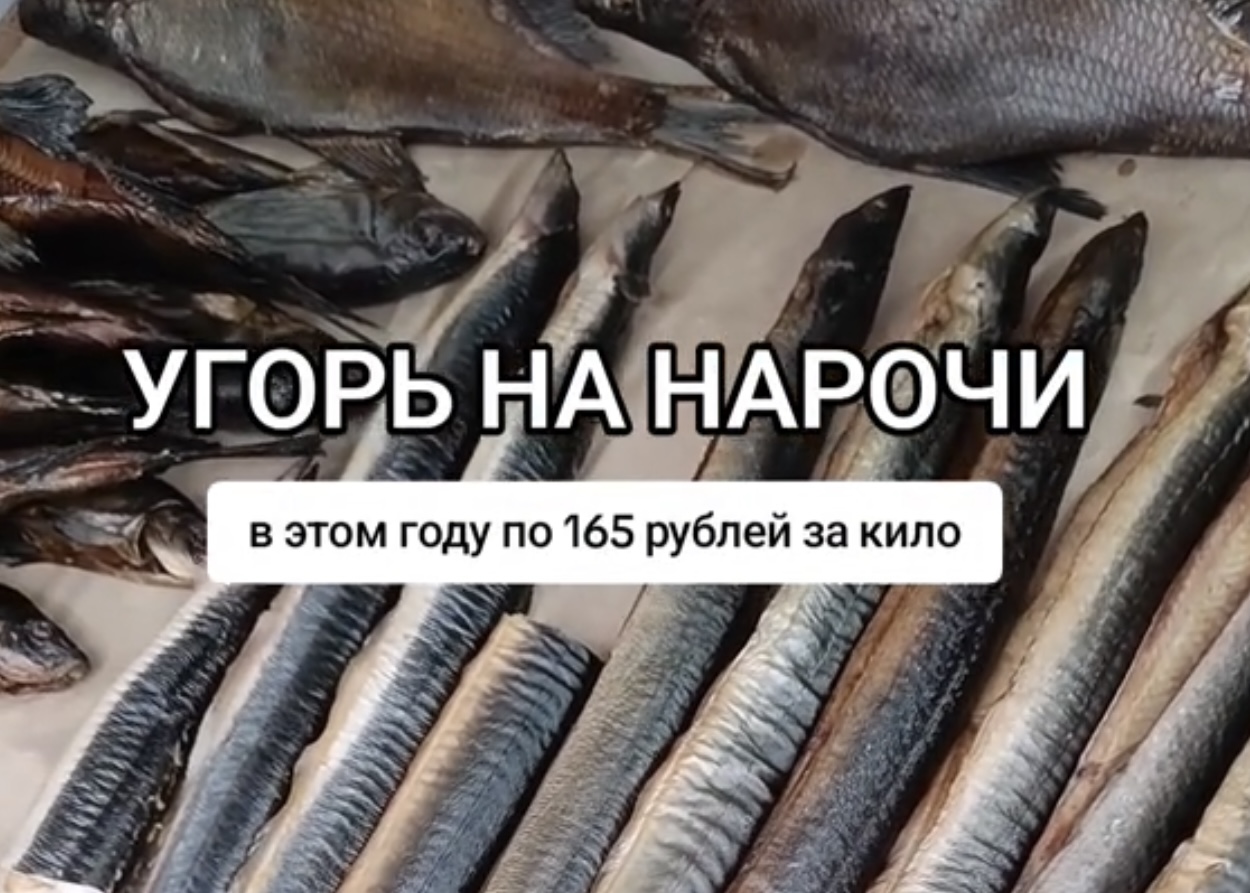 Рыбный рынок на Нарочи удивил туристов «золотым» угрем. Цена шокировала сеть