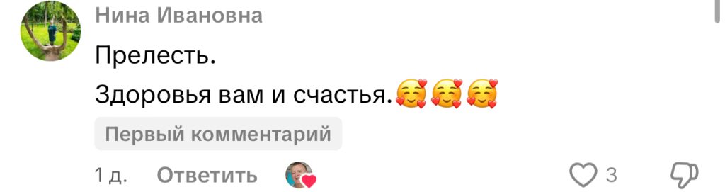 комментарий