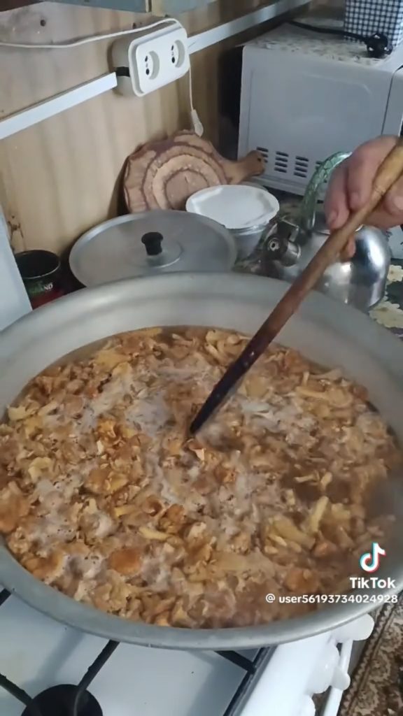 лисички