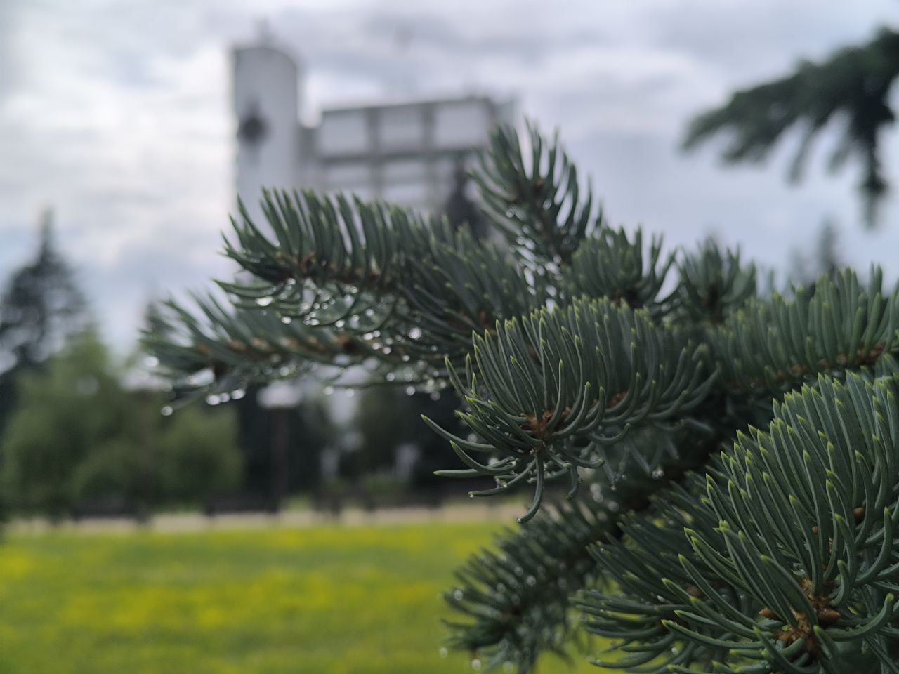 Будет ли дождь на выходных?