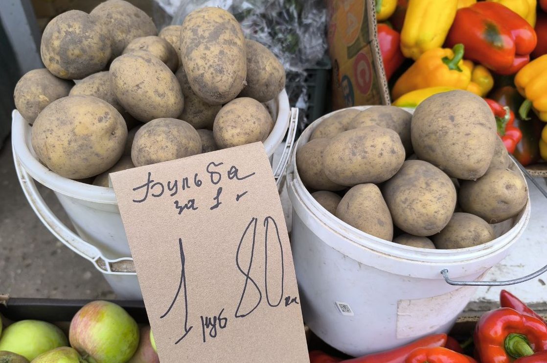 Посмотрели, сколько стоит картошка в Молодечно
