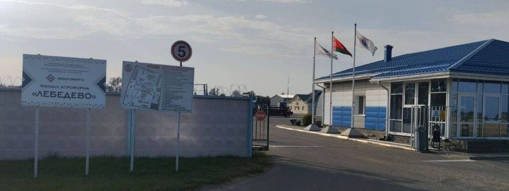 Агрофирма «Лебедево» опровергла фейки о проблемах в хозяйстве