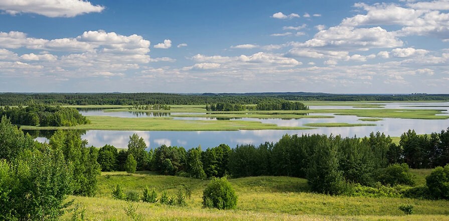 Экология Беларуси: что изменилось за последние годы?