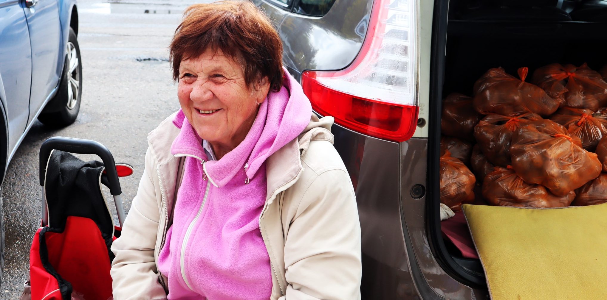 «Продаю то, что вырастила, поэтому и пенсии хватает». Дерут ли бабушки с молодечненцев втридорога за дары своих огородов?