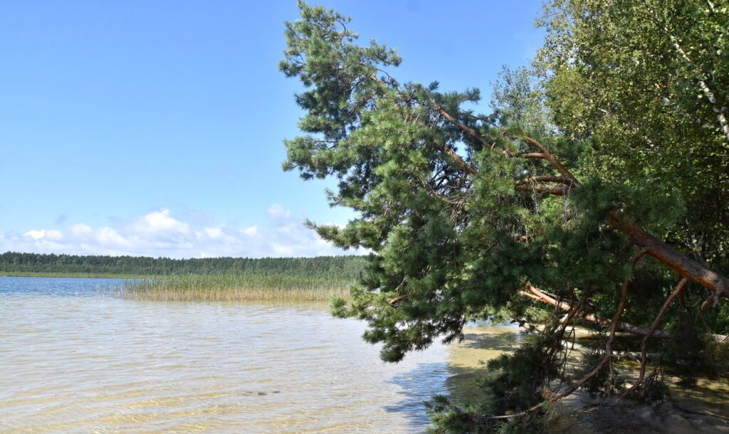 «Вода стала мутнее, людей — больше»: что говорят туристы про озеро Белое в Мядельском районе