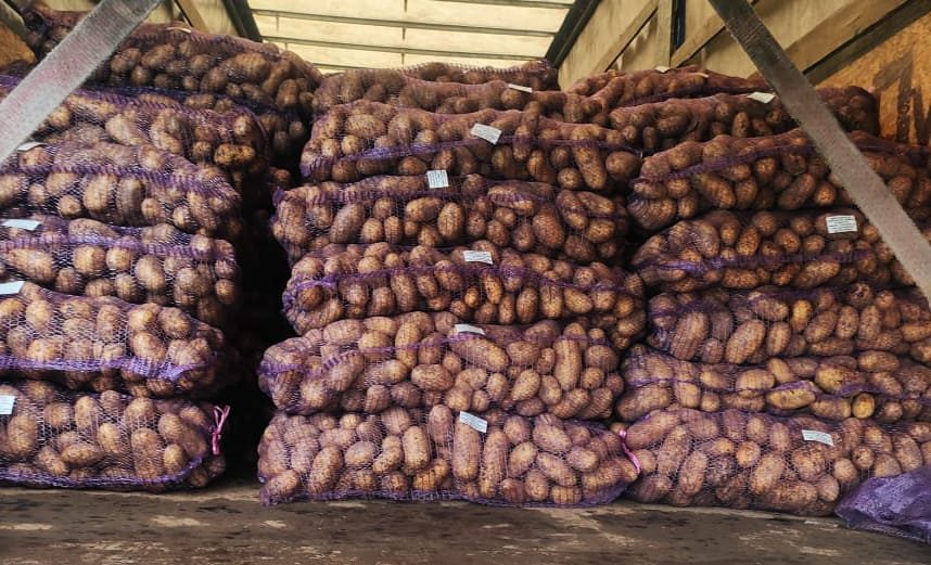 В Россию не пустили фуру с 22 тоннами картофеля из Беларуси
