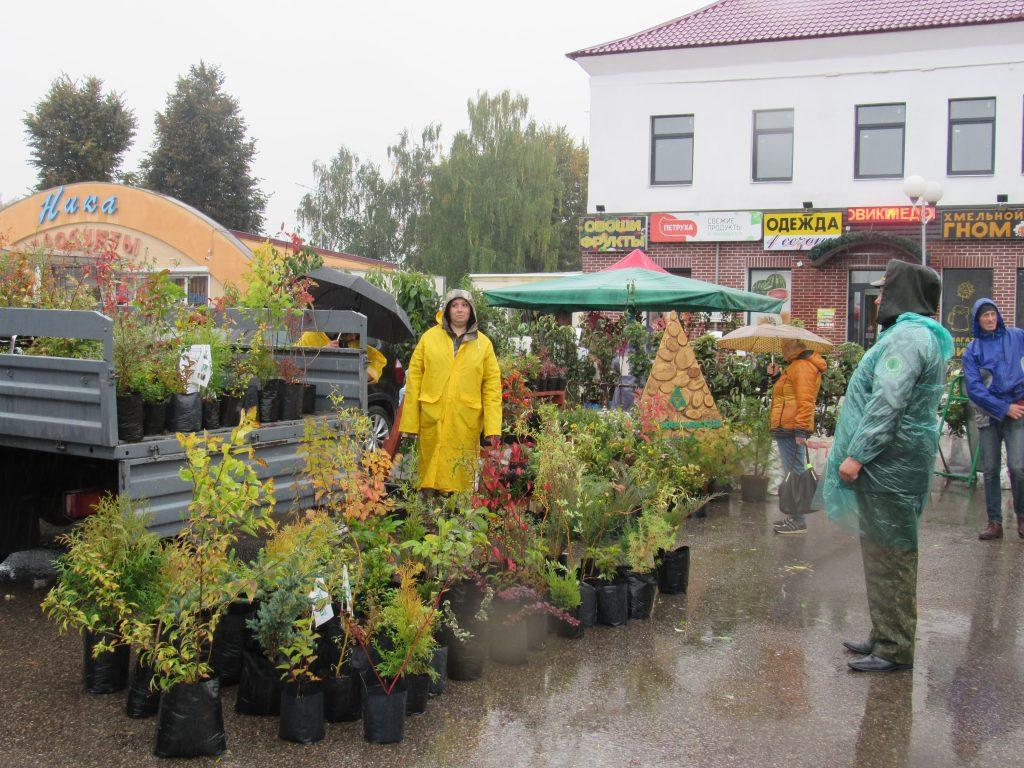 Рассказываем, когда пройдут осенние ярмарки в Молодечно