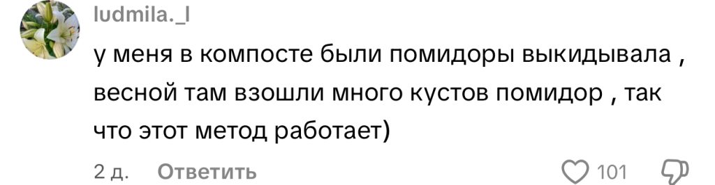 комментарий