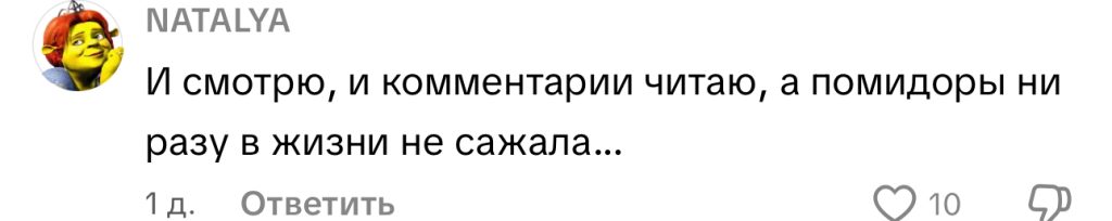 комментарий