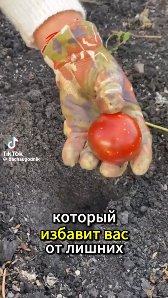 дачный лайфзак