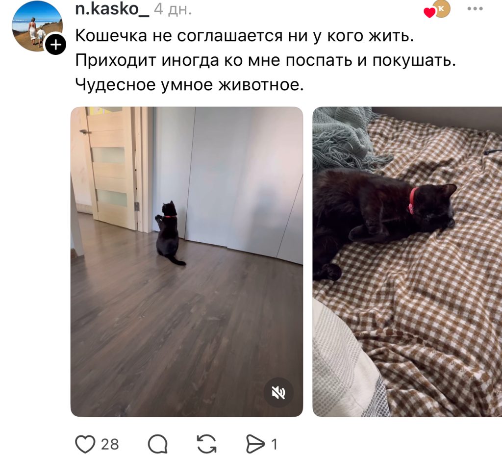 комментарий