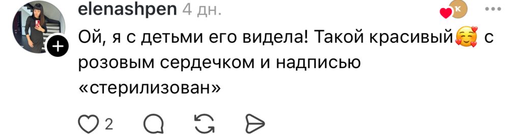 комментарий