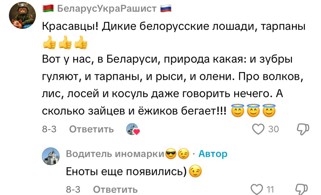 комментарий