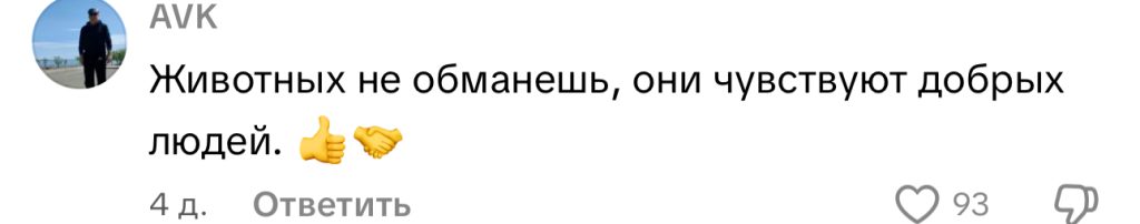 комментарий