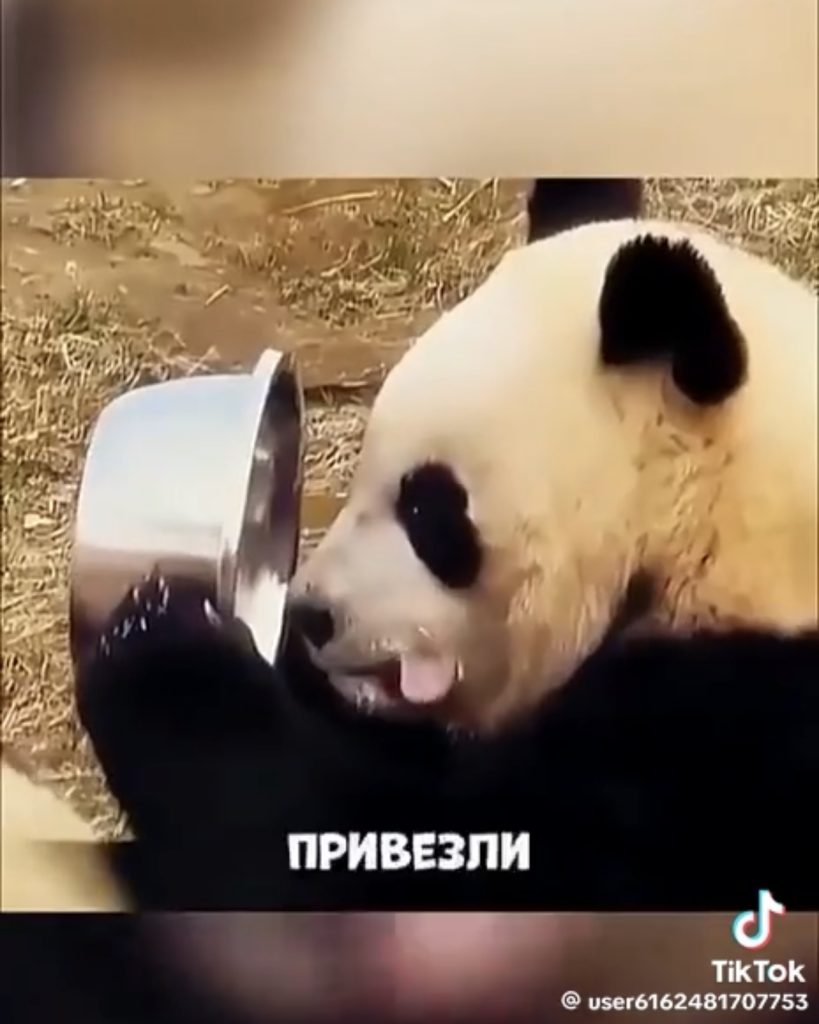 Китай