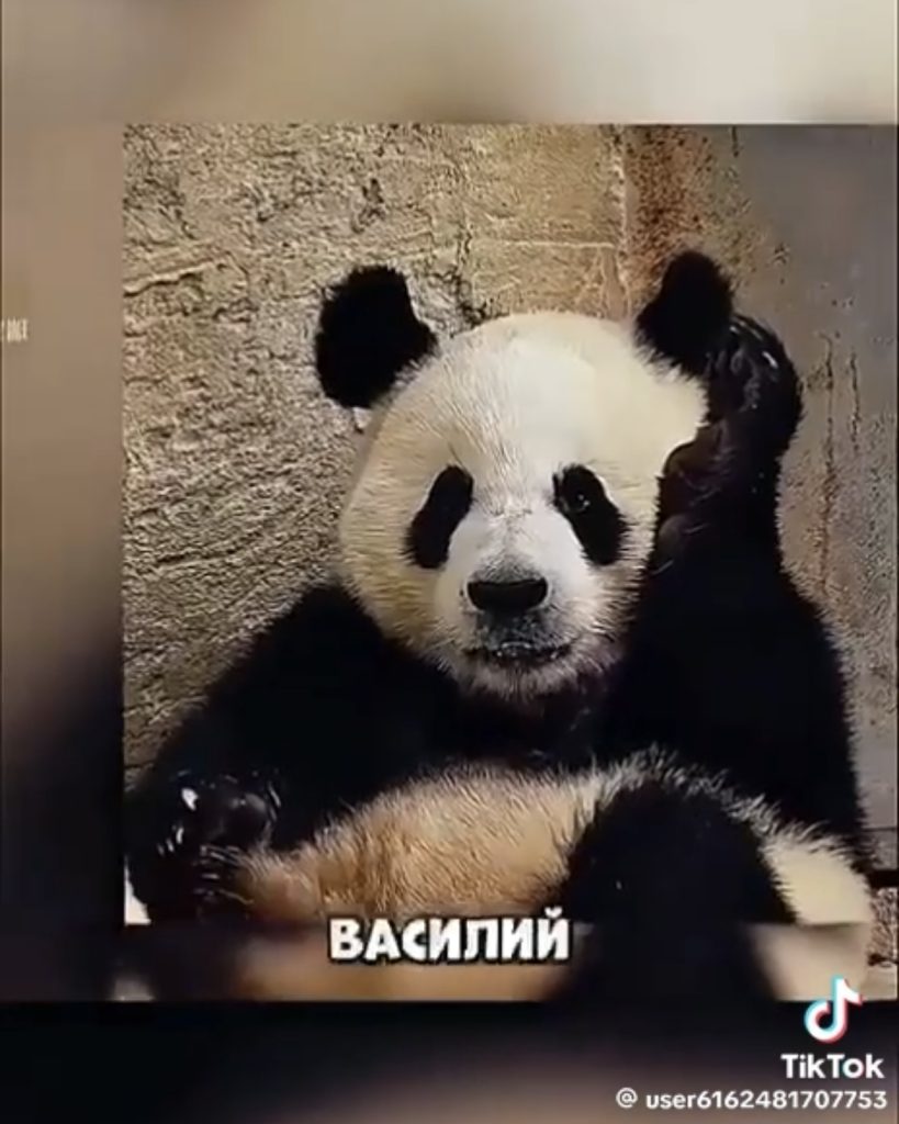 Минский зоопарк