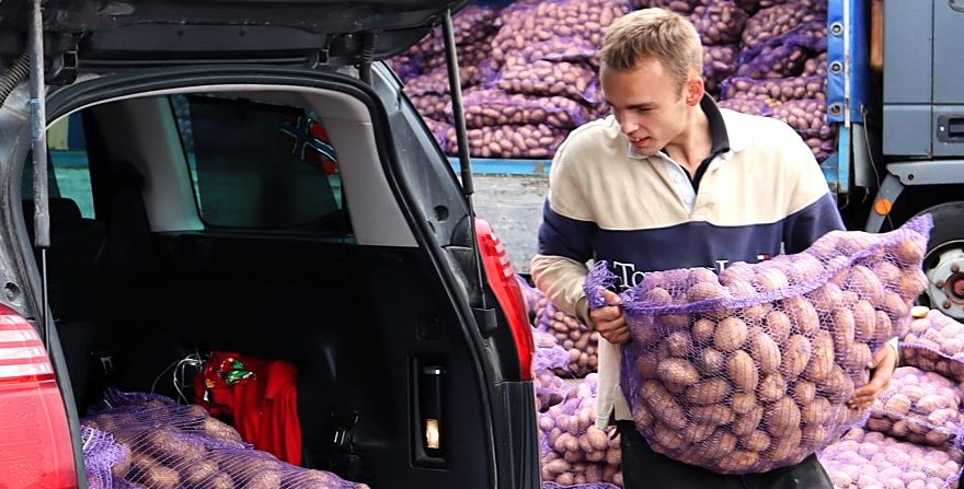 Картошка на ярмарке в Молодечно по 85 копеек, но цена может расти –  Россия не отказывается от нашей бульбы