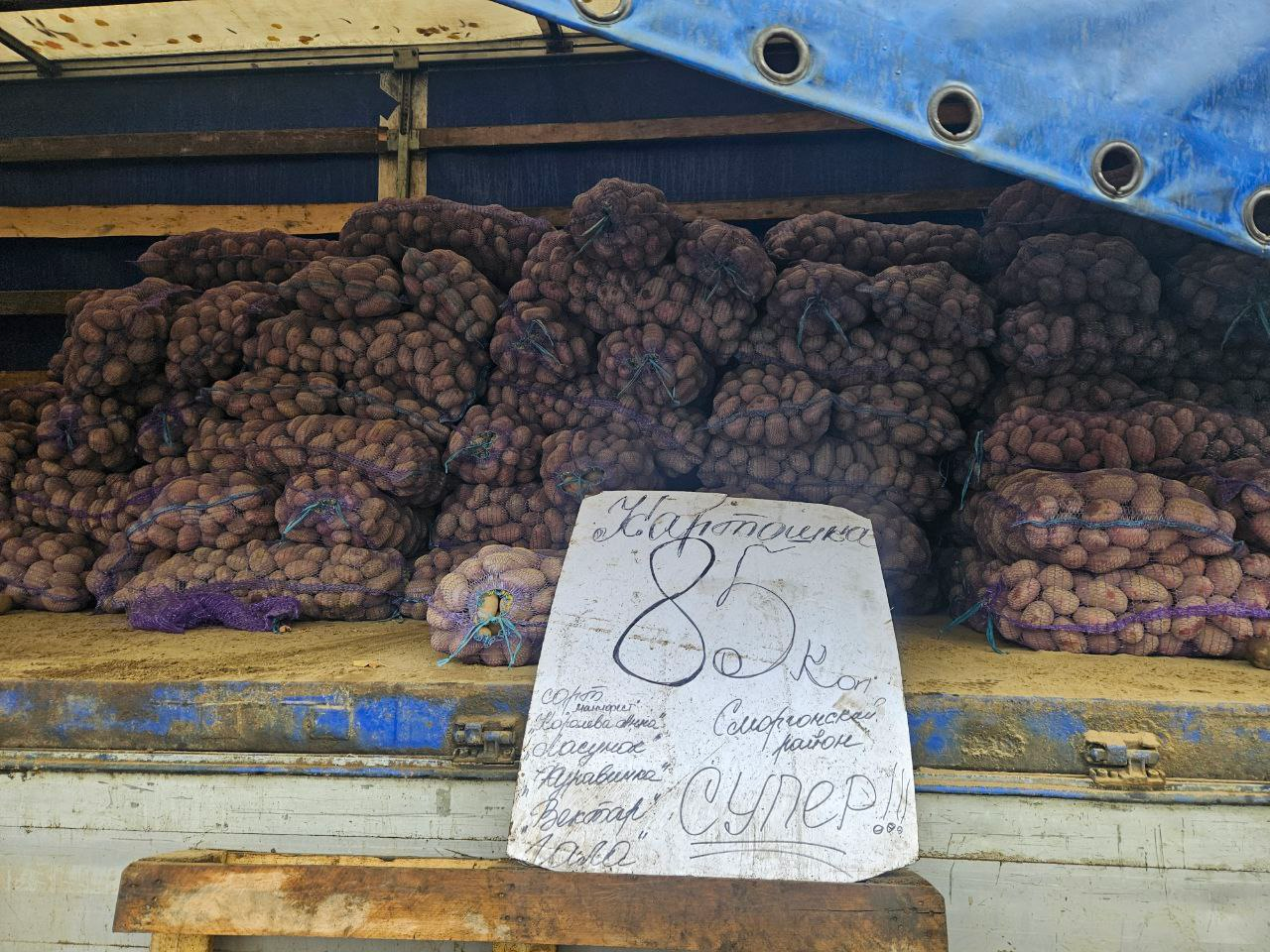 В Молодечно даже подмокший от дождя картофель не падает в цене