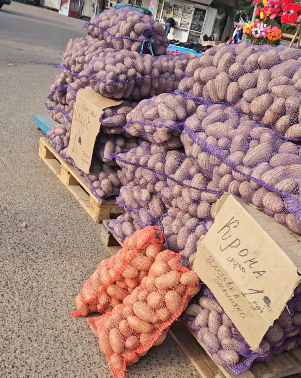 Картошка в фурах и грузовиках. На площади в Молодечно картофельный бум