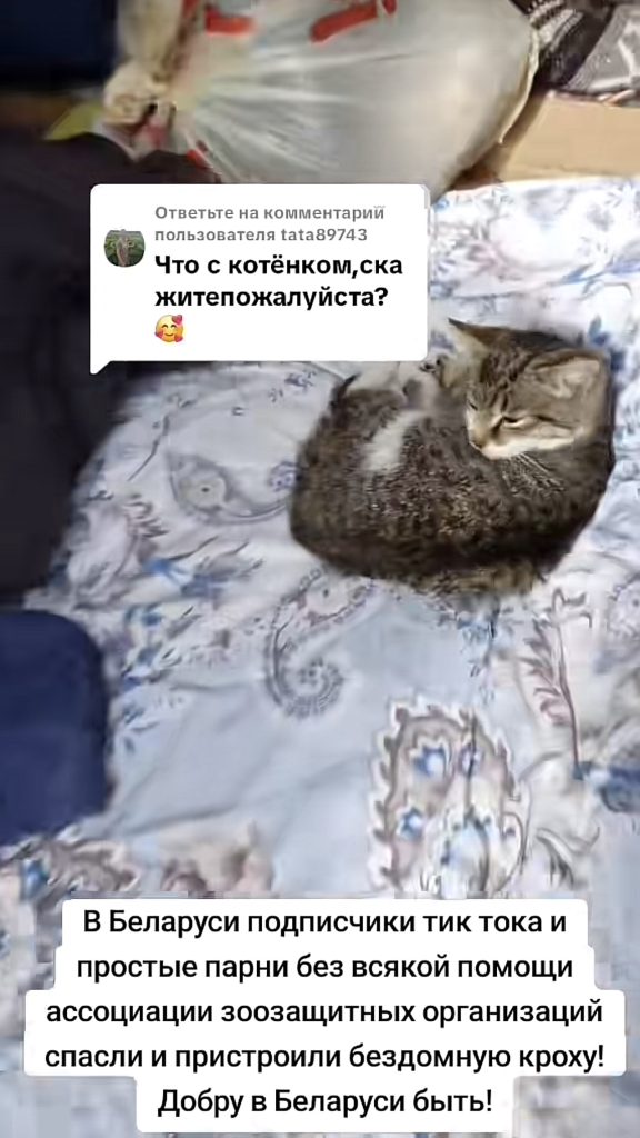 ТикТок
