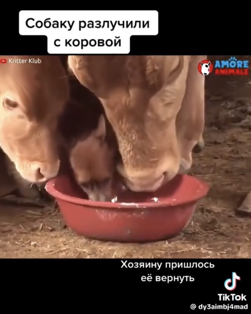 ферма