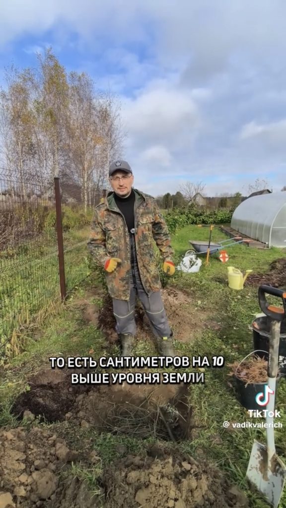 дача