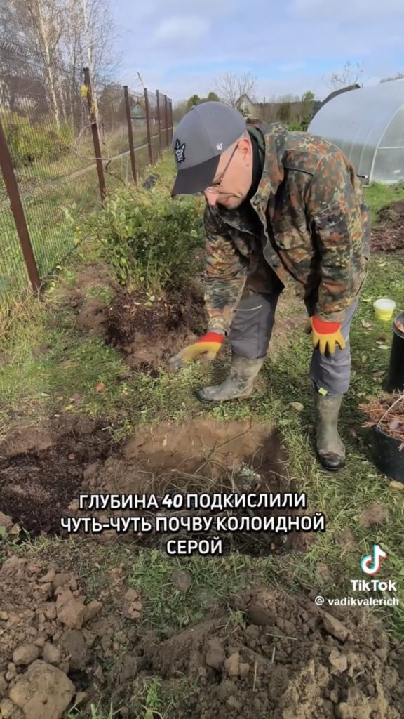 яма