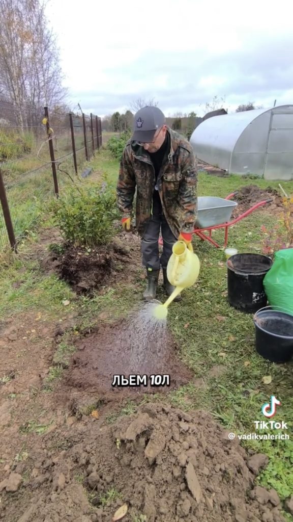 полив