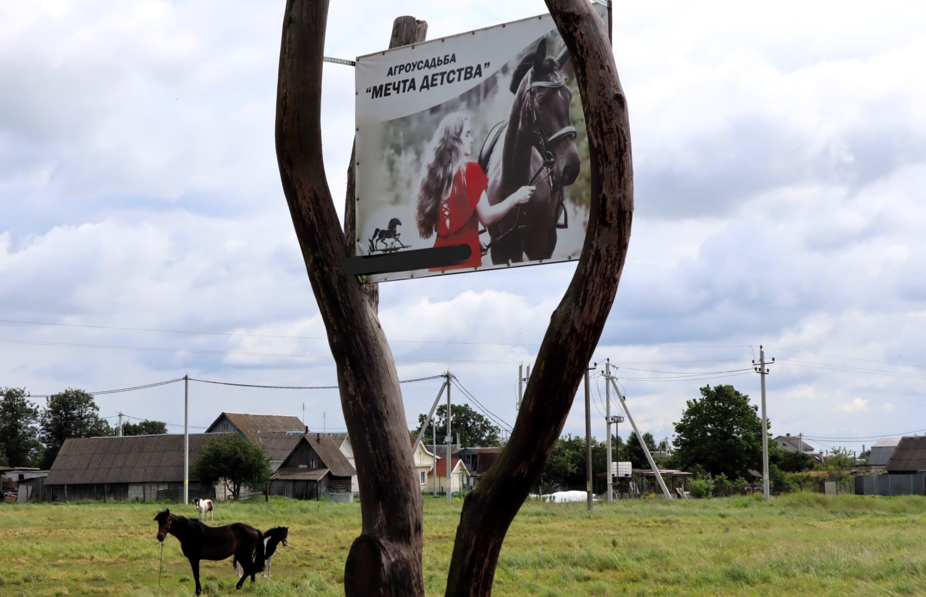 «У меня сразу – шок и слёзы». Под Молодечно недалеко от усадьбы «Мечта детства» в реке нашли мертвого мужчину