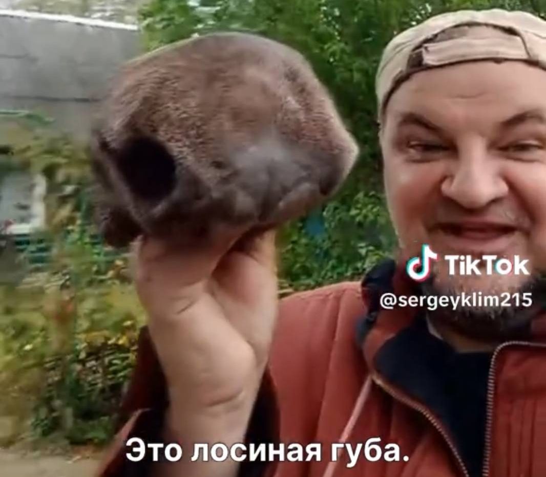 TikTok-кулинария: дядька Сярожа из Вилейки готовит лосиные губы «по-белорусски»