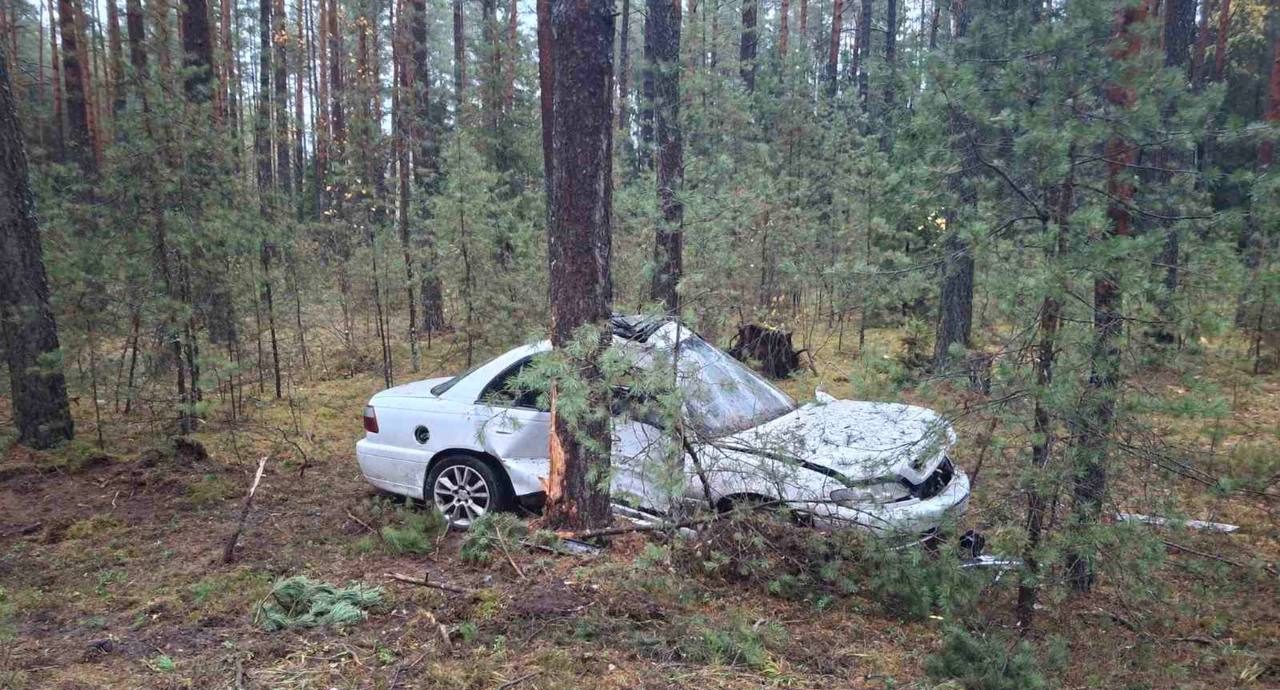 В Молодечненском районе водитель Opel врезалась в дерево